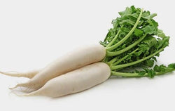 Lobak - Daikon Radish / 500gr