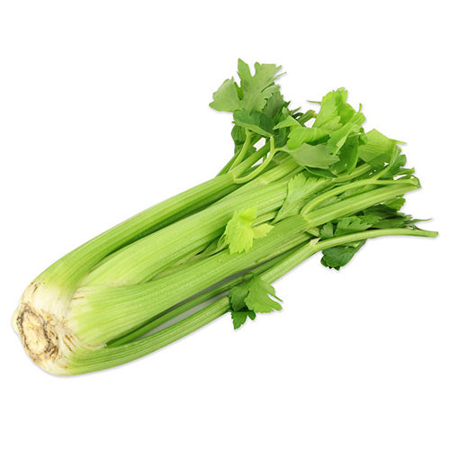Seledri Stick - Celery Stick / 500gr