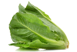 Selada Rumana - Romaine Lettuce / 500gr