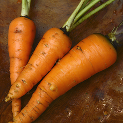 Wortel Lokal - Carrots / kg