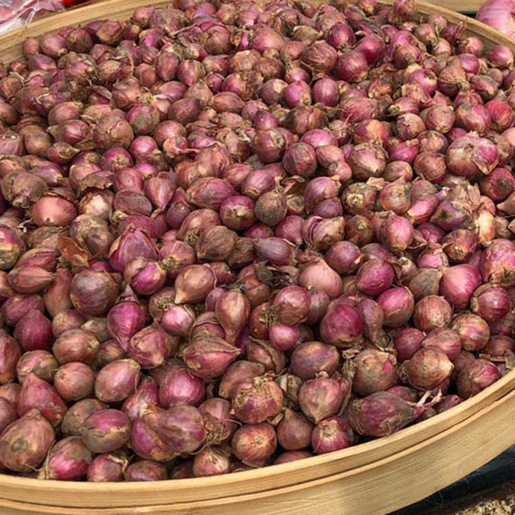 Shallots 250g