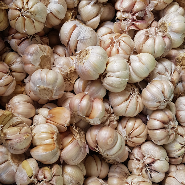 Bawang Putih - Garlic / 250g
