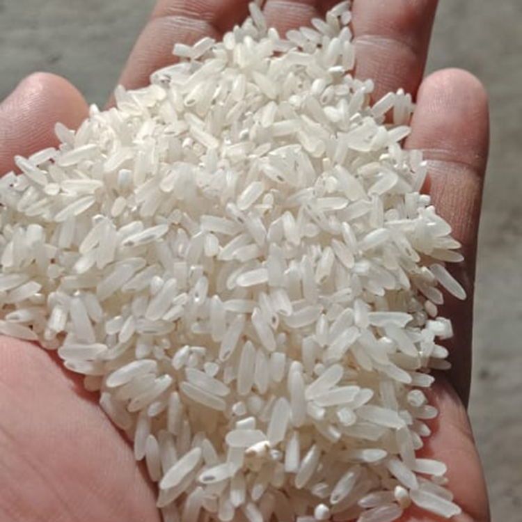 Почему рис пахнет. Белый рис. Рис белое золото. Разновидности риса. Крупинка риса.