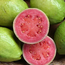 Jambu Biji Merah - Red Guava / kg
