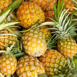 Nanas Jumbo - Jumbo Pineapple / buah