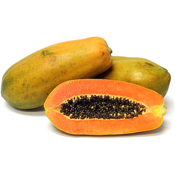 Calina - California Papaya / kg