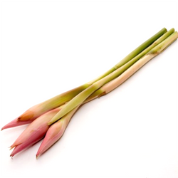 Kecombrang - Sambal Flower / batang