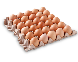 Telor Ayam Sedang 30/kerat - Medium chicken eggs 30/flat