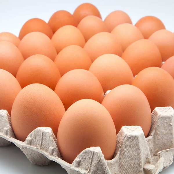 Telor Ayam Besar 30/kerat - Large chicken eggs 30/flat