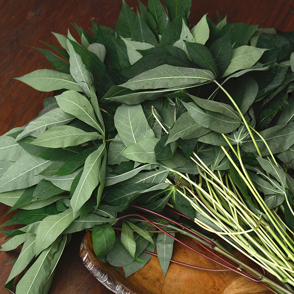Daun Singkong - Cassava Leaf / kg