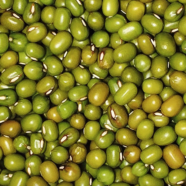 Kacang Hijau - Mung Beans / 500g