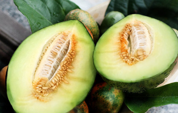 Melon Hijau - Green Melon /kg