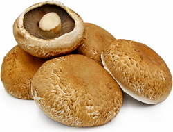 Jamur Portobello - Portobello Mushroom / 250gr