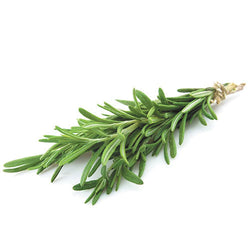 Daun Rosemary - Fresh Rosemary Leaf / 100gr
