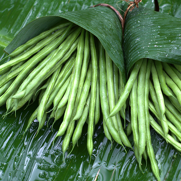 Buncis - Green Beans / 500gr