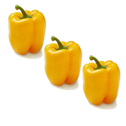 Paprika Kuning - Yellow Bell Pepper / kg