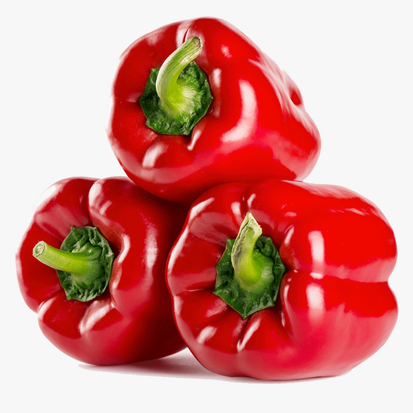 Paprika Merah - Red Bell Pepper / 500gr