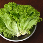Selada Kriting Organik - Organic Green Leaf Lettuce / 500g