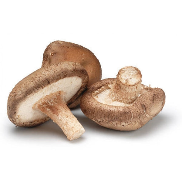 Jamur Shiitake - Shiitake Mushroom / 250gr